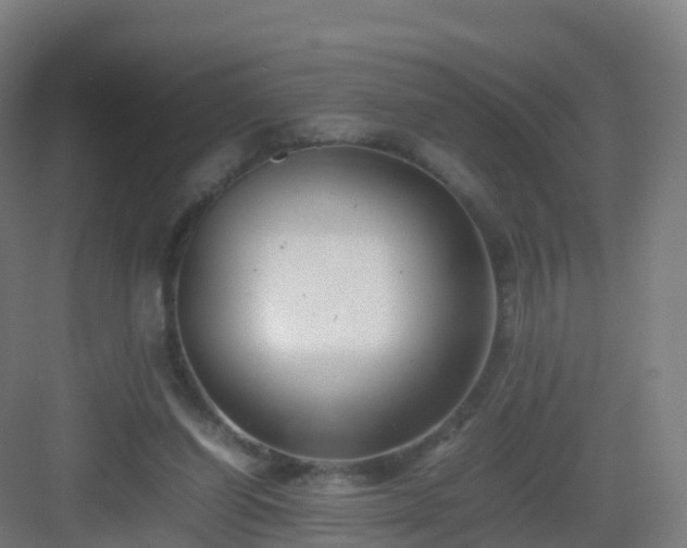 X0000083030254200702091350