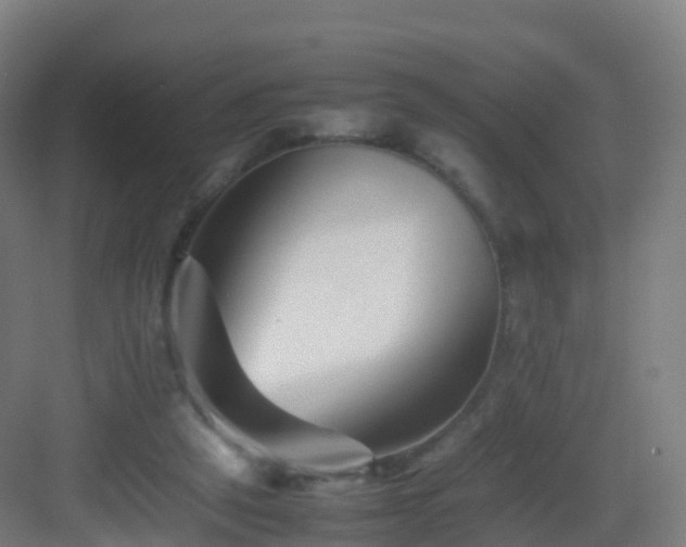 X0000083030257200702091350