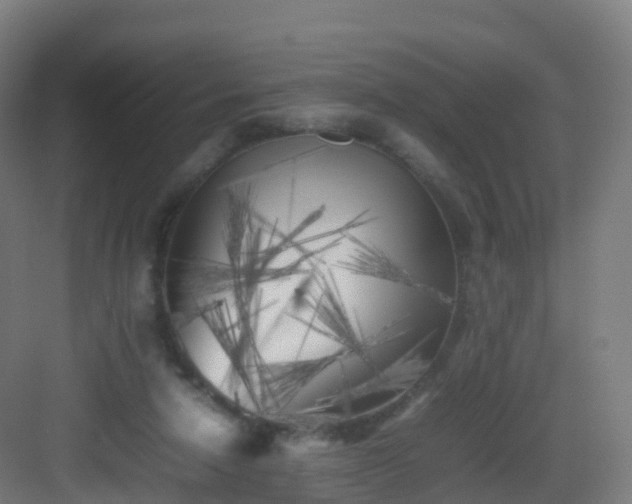 X0000083030258200702091350