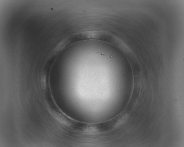 X0000083030262200702091350