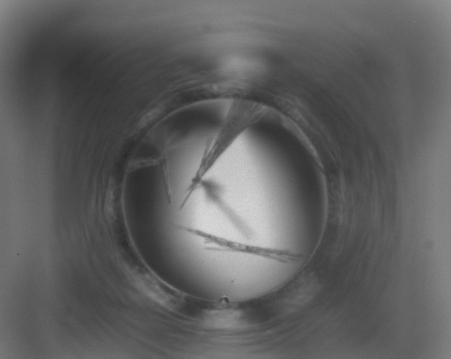 X0000083030266200702091350
