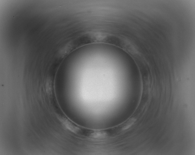 X0000083030274200702091351
