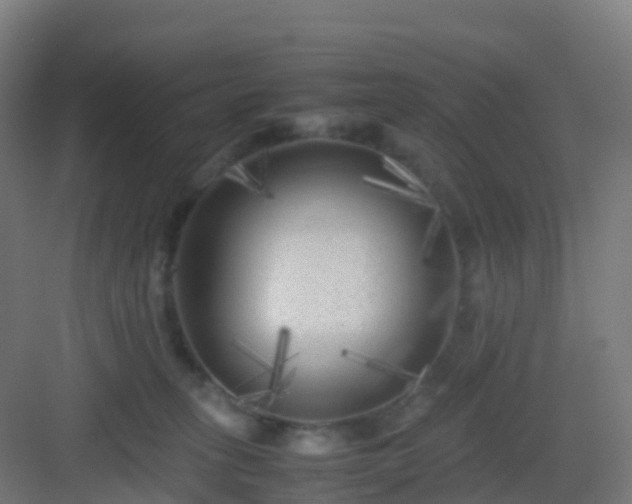 X0000083030275200702091351