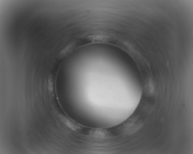 X0000083030282200702091351