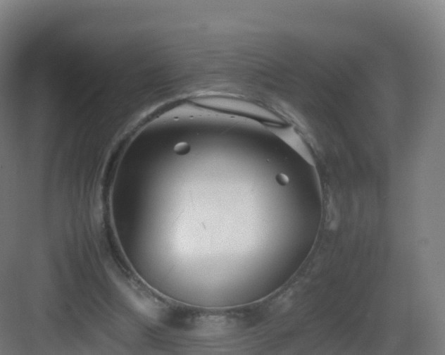 X0000083030298200702091350