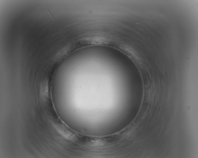 X0000083030310200702091350