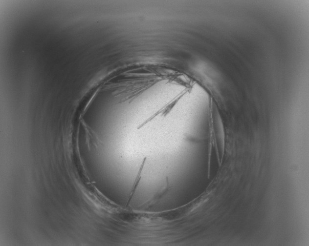 X0000083030346200702091348