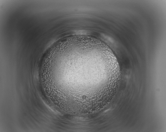 X0000083030347200702091349