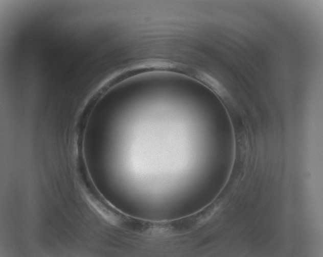 X0000083030350200702091349