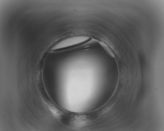 X0000083030355200702091349