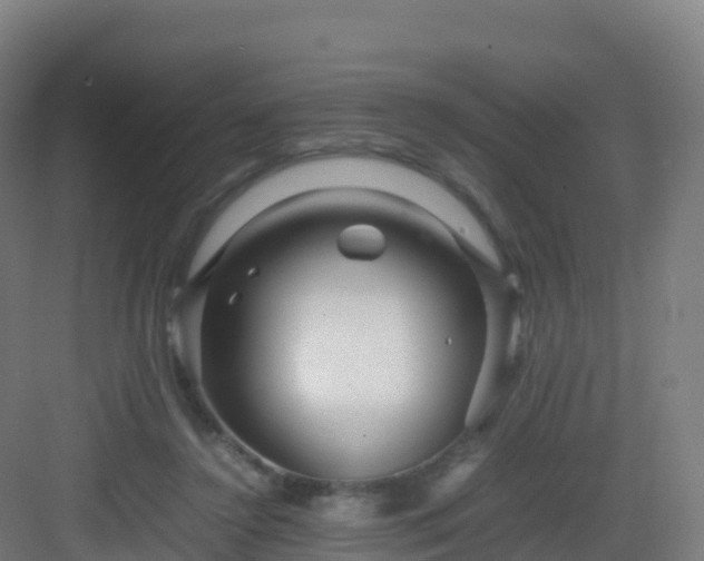 X0000083030356200702091349