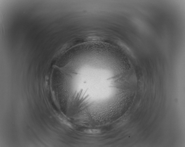 X0000083030361200702091349