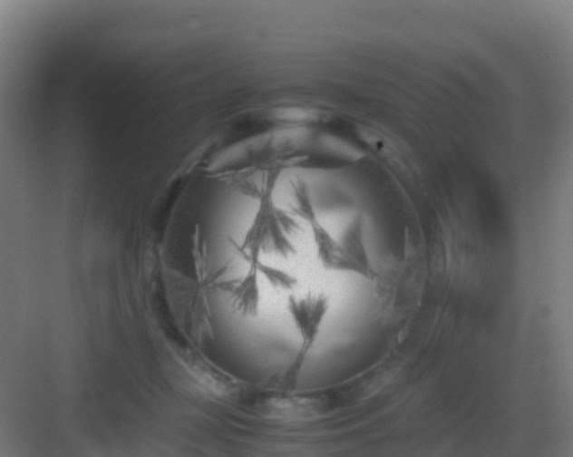 X0000083030367200702091349