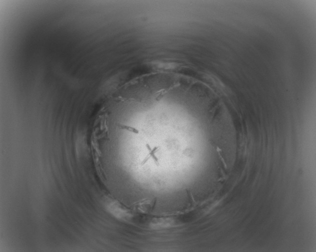 X0000083030377200702091349