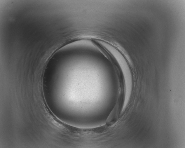 X0000083030385200702091348