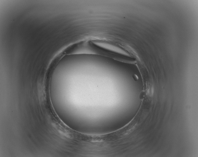 X0000083030388200702091348