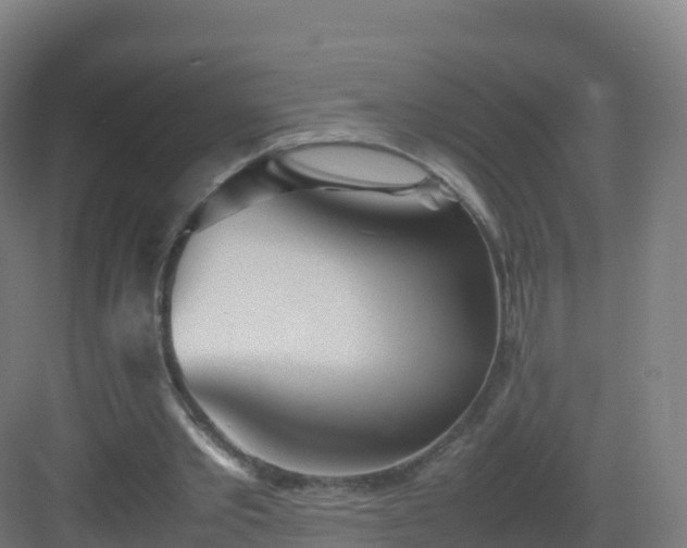 X0000083030389200702091348