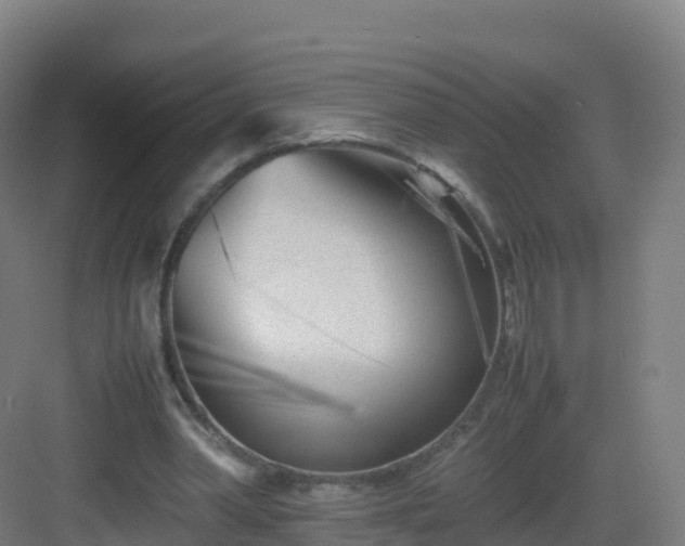 X0000083030390200702091348