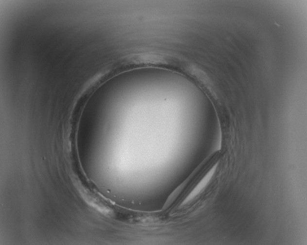 X0000083030395200702091348