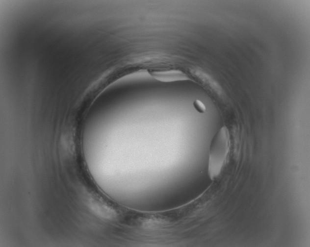 X0000083030400200702091348