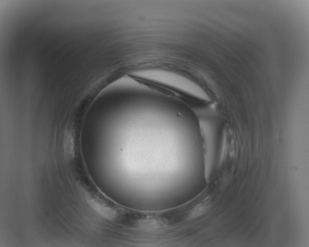 X0000083030404200702091348