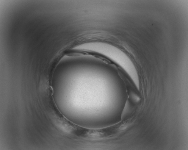 X0000083030407200702091348