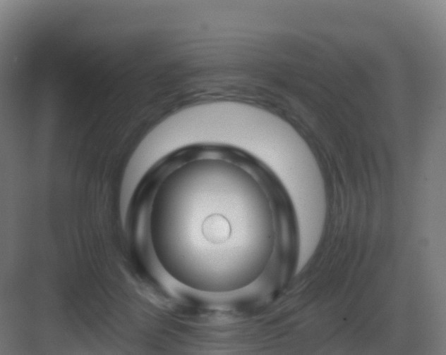 X0000083030412200702091348