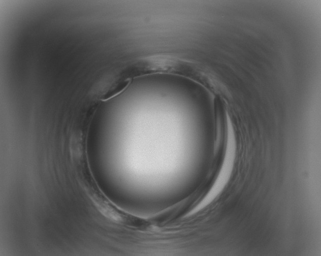 X0000083030413200702091348