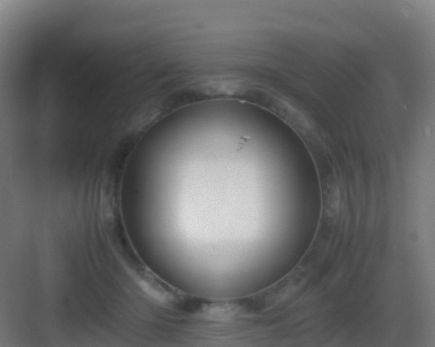 X0000083030414200702091348