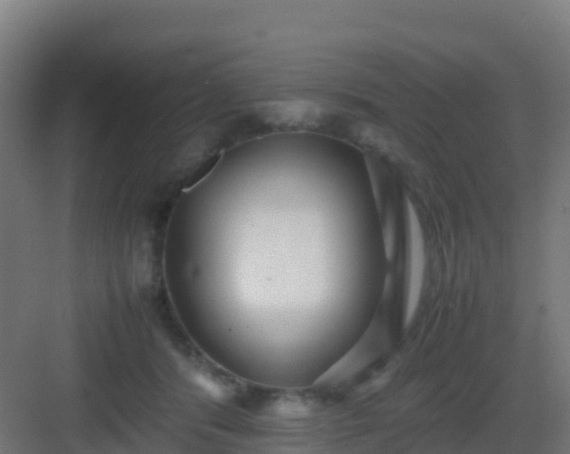 X0000083030416200702091348