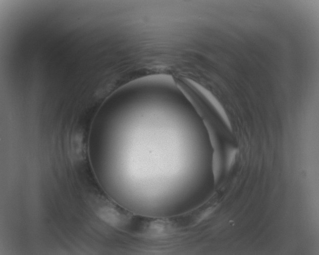 X0000083030420200702091348