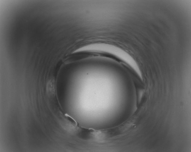 X0000083030425200702091348