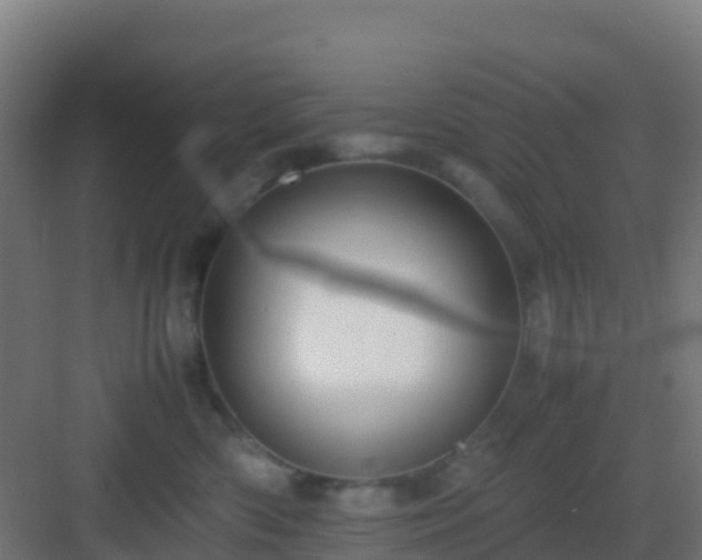 X0000083030426200702091348