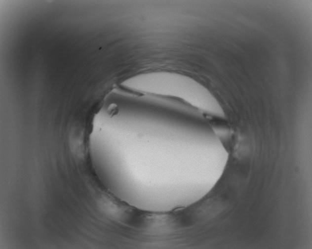 X0000083030428200702091348