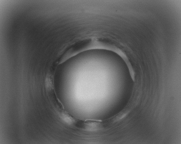 X0000083030432200702091348