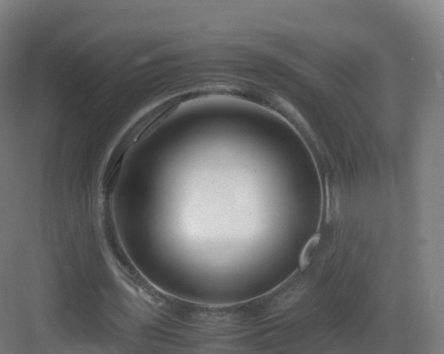 X0000083030435200702091347