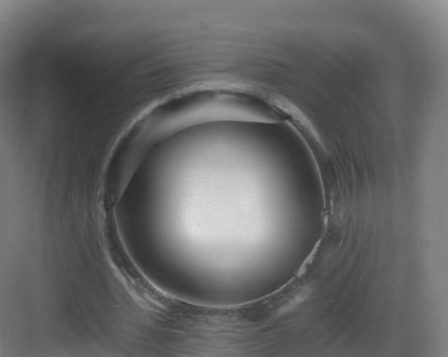 X0000083030436200702091347