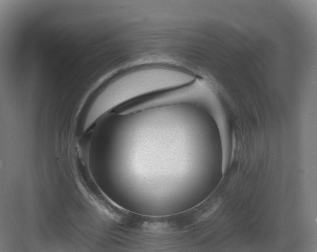 X0000083030440200702091347