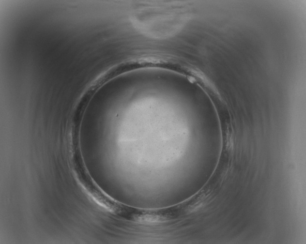 X0000083030444200702091347