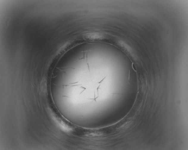X0000083030447200702091347