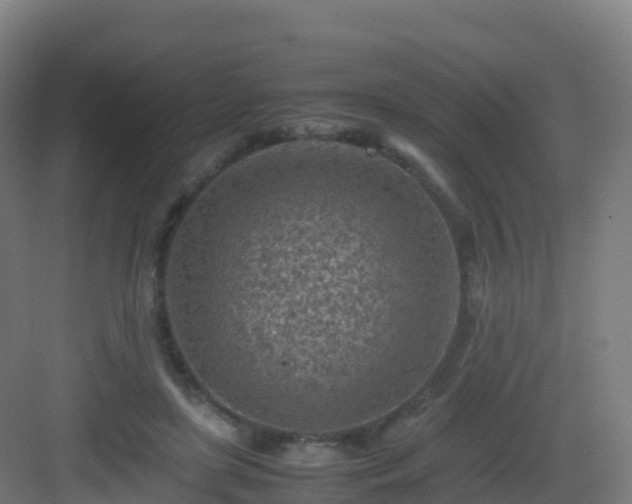 X0000083030451200702091347