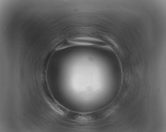X0000083030455200702091347