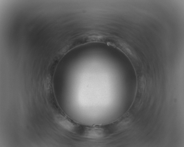 X0000083030463200702091347