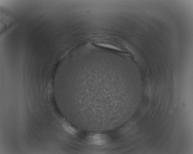 X0000083030467200702091347