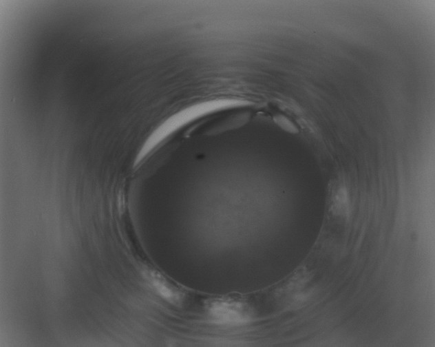 X0000083030471200702091347