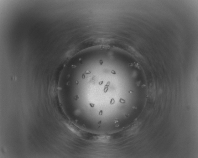 X0000083030474200702091347