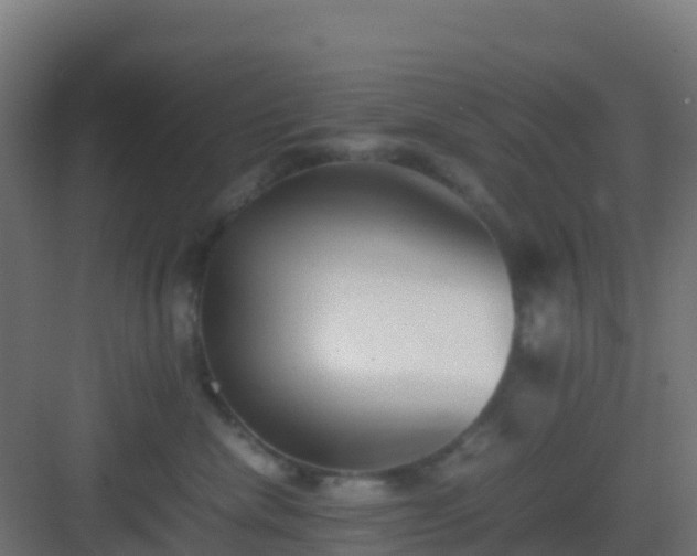 X0000083030476200702091347