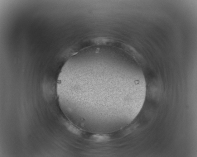 X0000083030477200702091347