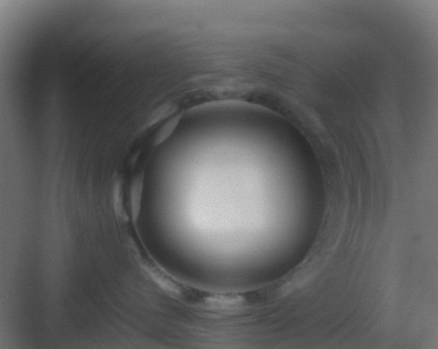 X0000083030480200702091348