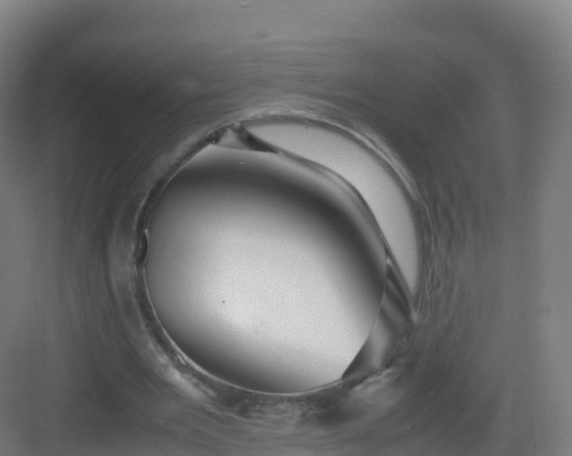 X0000083030485200702091347